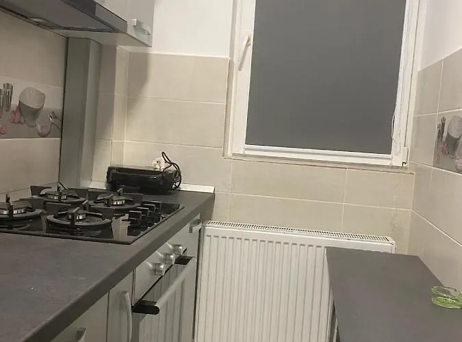 Studio-ion Mihalache-bucuresti