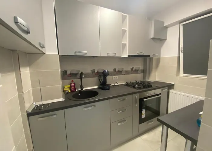 Studio-ion Mihalache-bucuresti